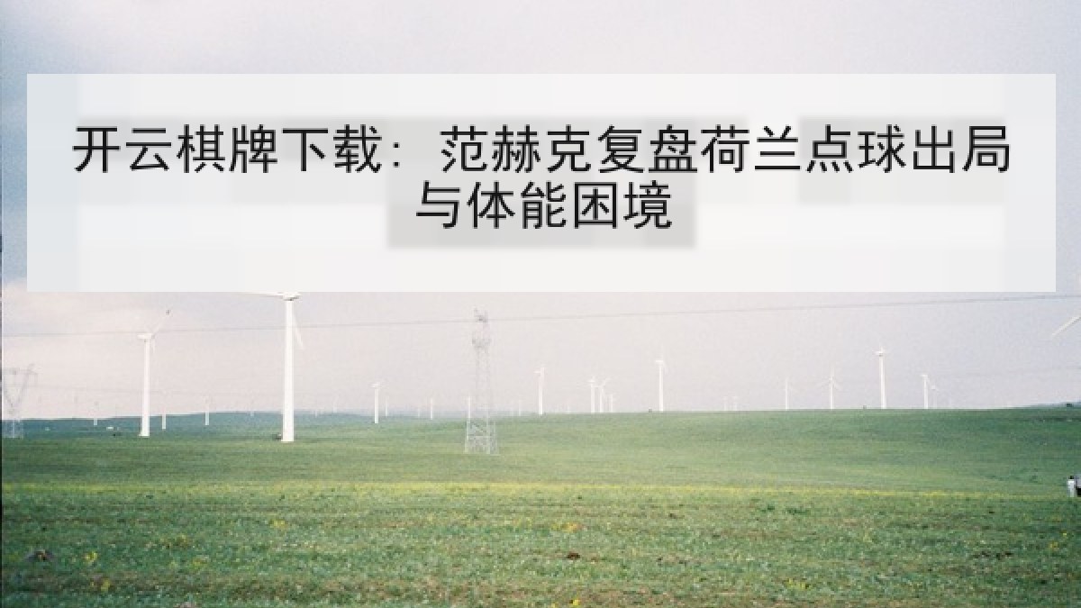 开云棋牌下载: 范赫克复盘荷兰点球出局与体能困境