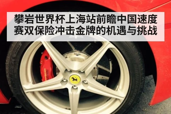 攀岩世界杯上海站前瞻中国速度赛双保险冲击金牌的机遇与挑战