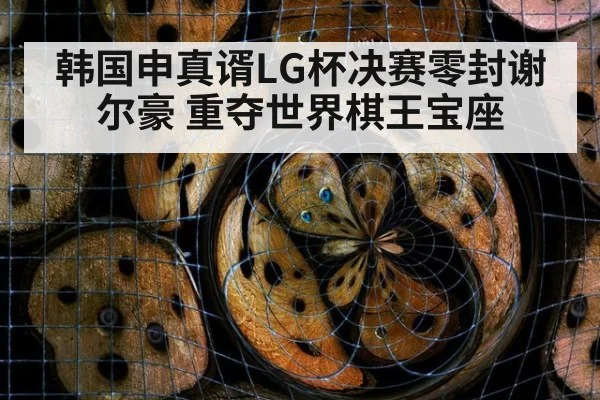 韩国申真谞LG杯决赛零封谢尔豪 重夺世界棋王宝座